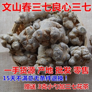 云南文山三七30头带剪囗三七大量批发【支持一件代发】