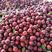 澳洲红紫琥珀黑总统红霸李子大量有货