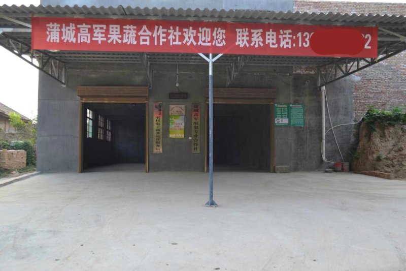 陕西黑皮无籽西瓜甜王西瓜金城五品质高口感好