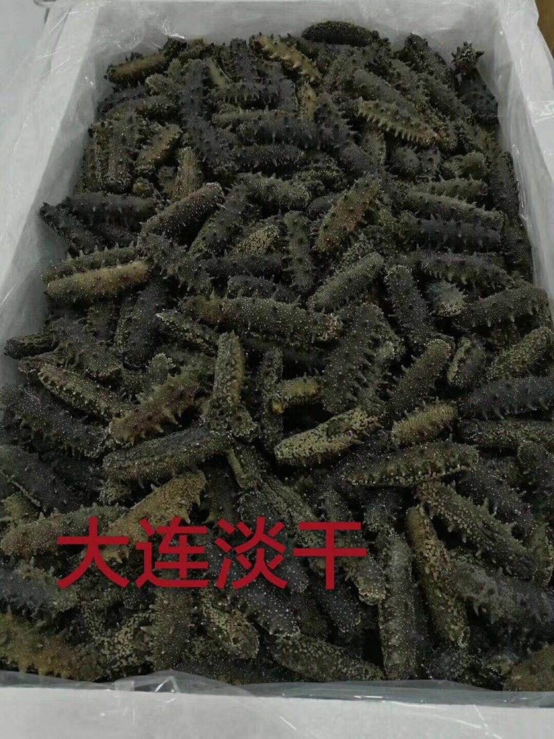 淡干海参