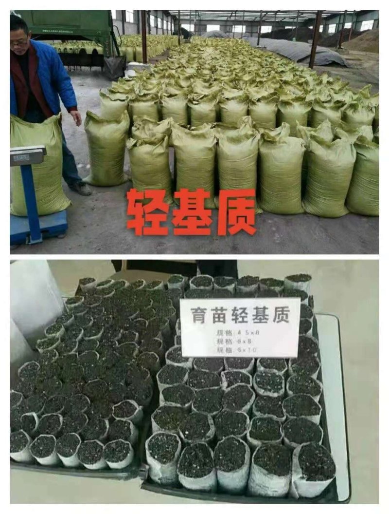 育苗袋无纺布轻基质容器杯营养袋种植袋营养杯
