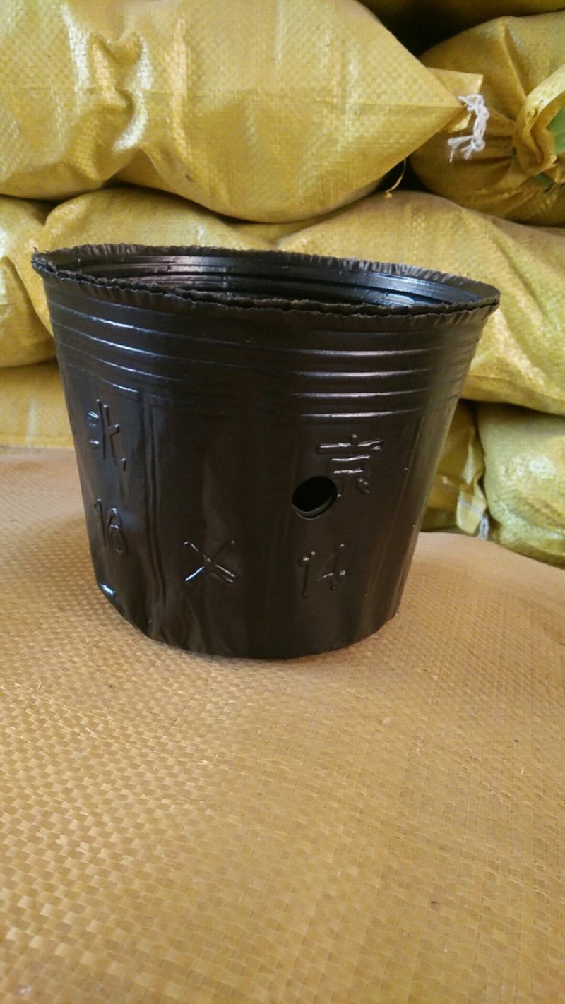 黑色营养杯抗老营养钵塑料育苗杯柑橘苗杯育苗盆育苗袋无纺布