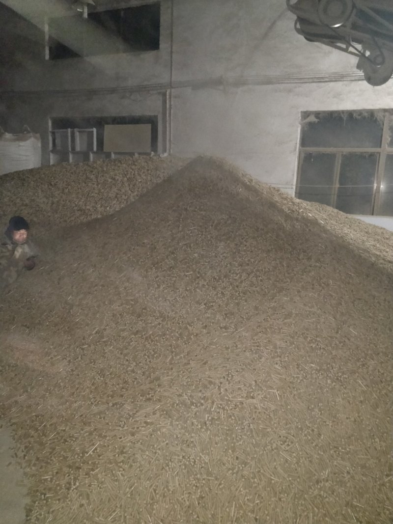 稻壳生物质燃烧颗粒(厂家直销)