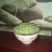太空莲藕种，绿色环保，高产，无病害。
