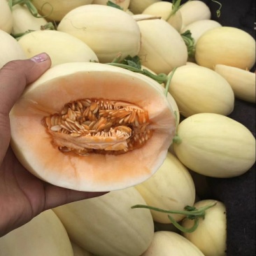 东方蜜