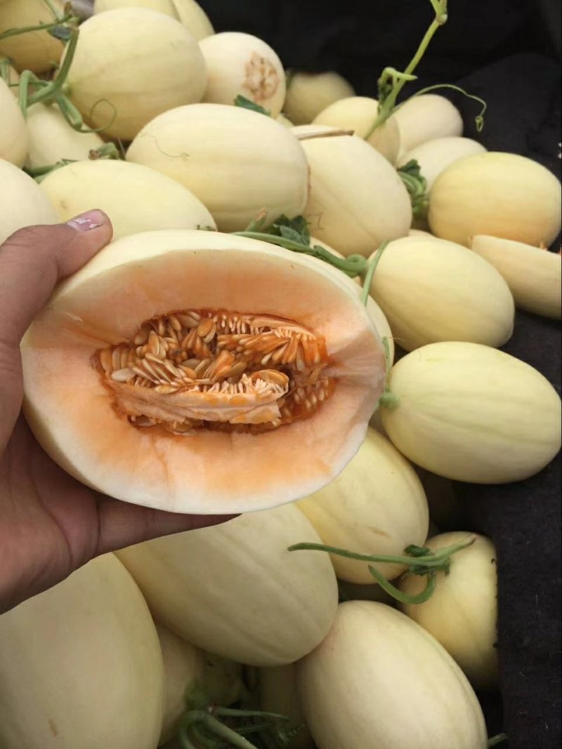 东方蜜