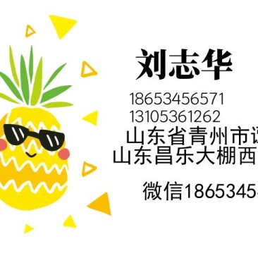 精品甜王西瓜
