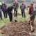 金秋砂糖橘苗3年挂果大苗土球苗，基地直供品种纯正