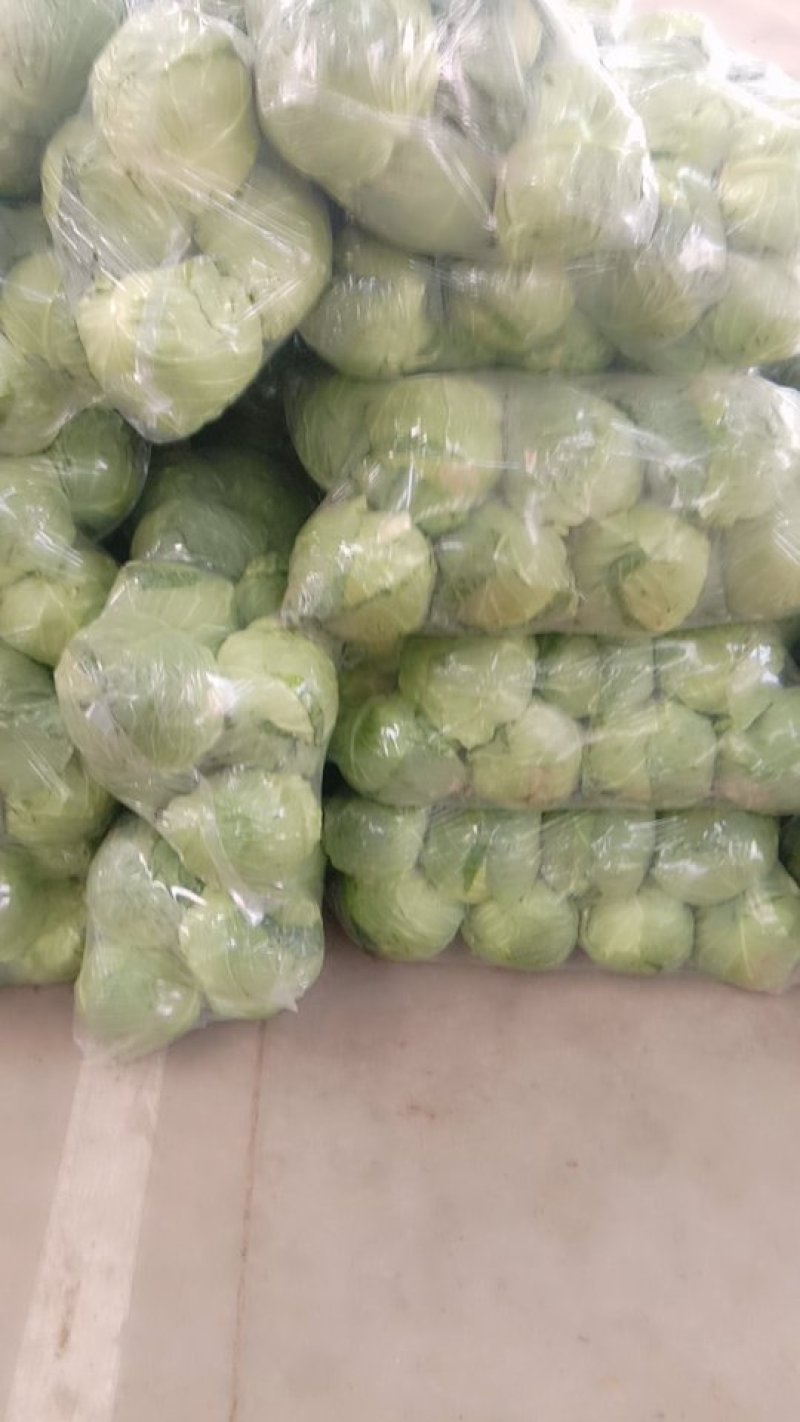 包菜