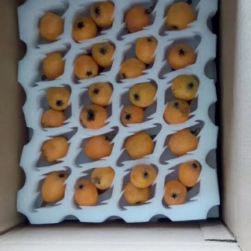 三潭枇杷，产自于美丽的新安江畔