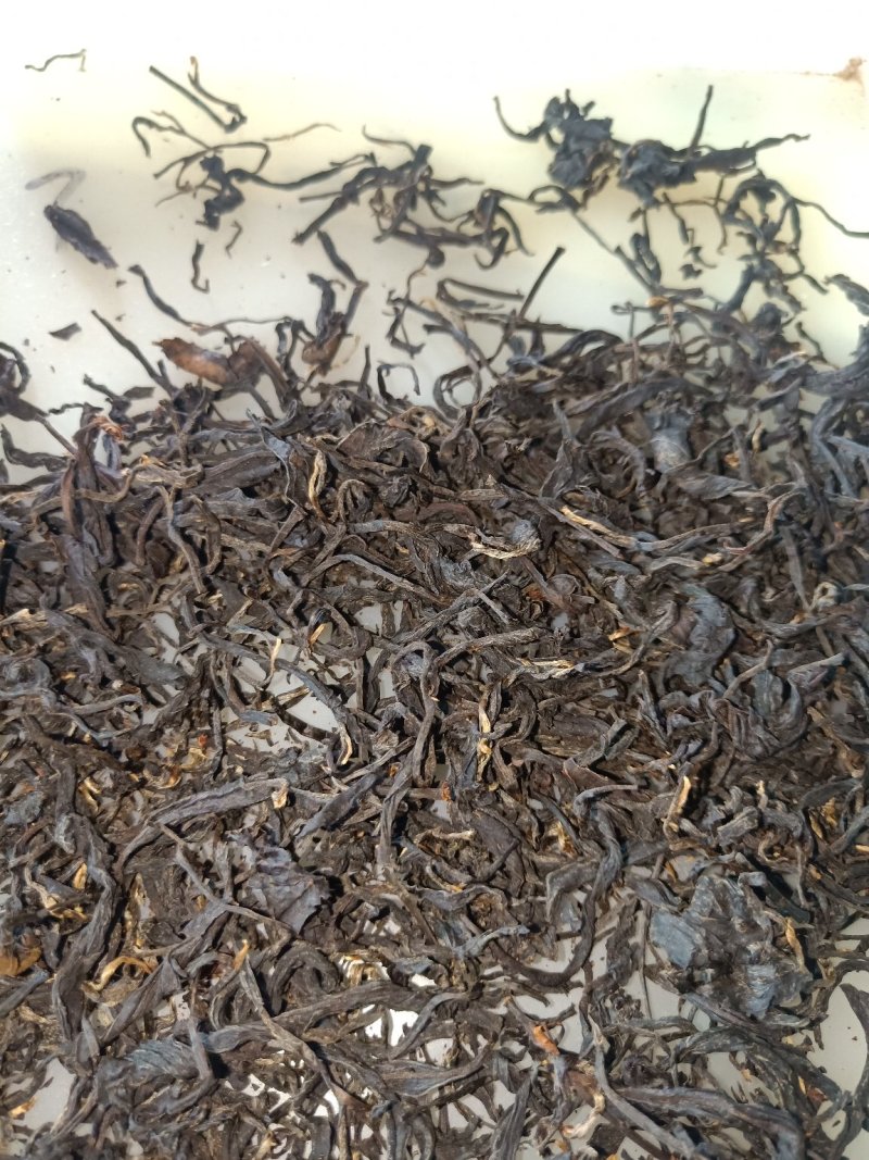 黄观音小种高山野茶