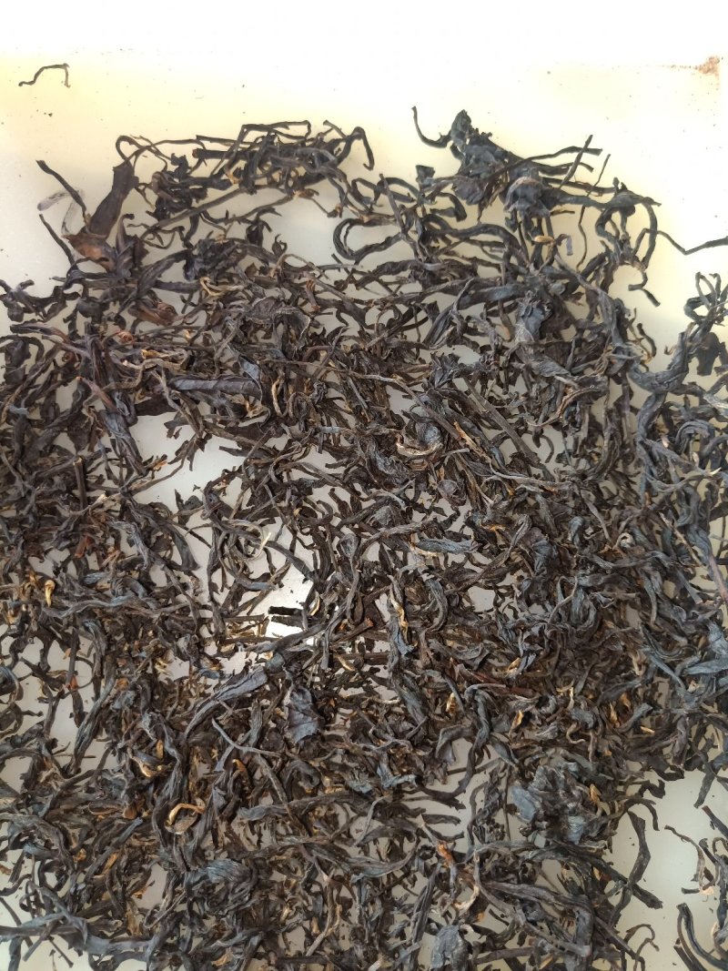 黄观音小种高山野茶
