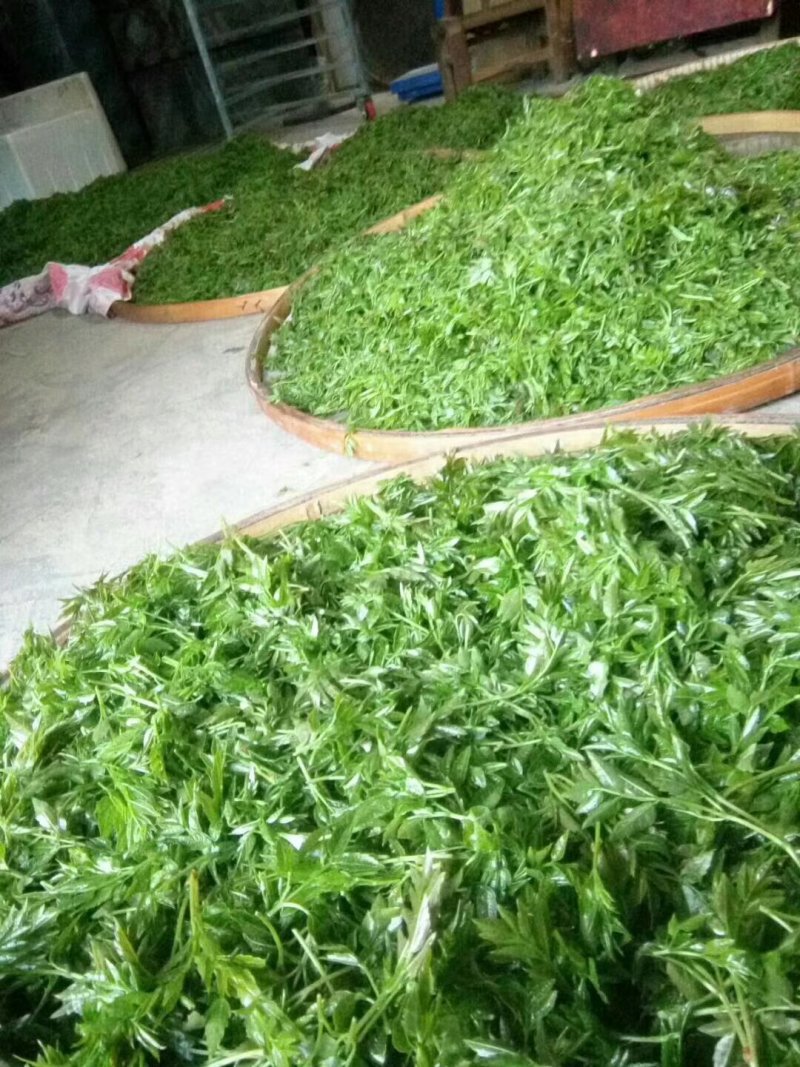 莓茶