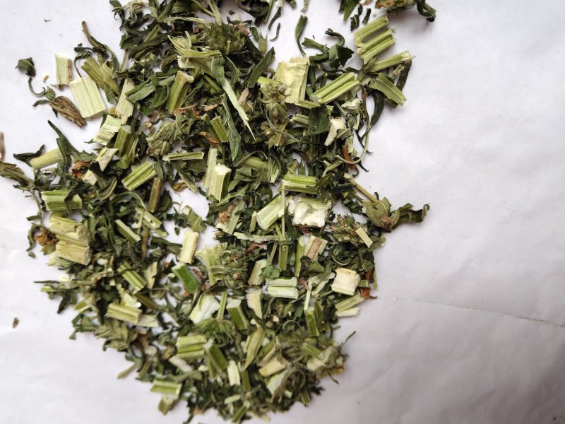 益母草原料粉两个规格供应批发不含运费批发零售