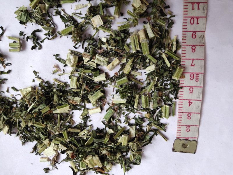 益母草原料粉两个规格供应批发不含运费批发零售