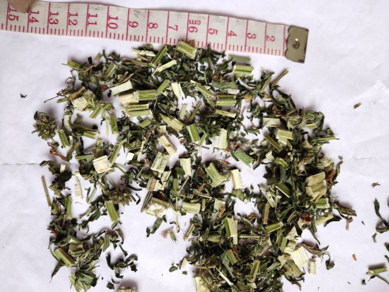 益母草原料粉两个规格供应批发不含运费批发零售