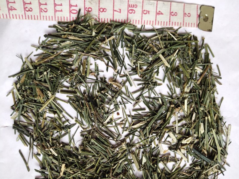 中药材穿心莲批发零售品种齐全