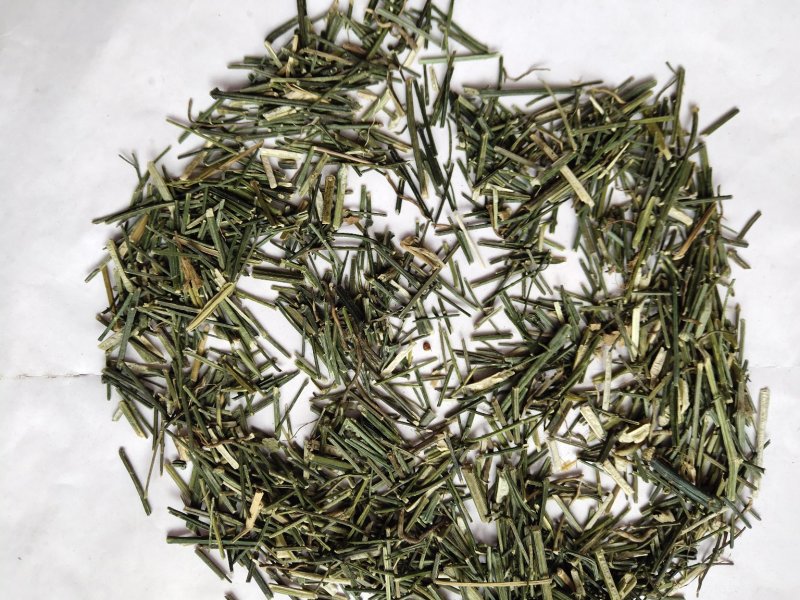 中药材穿心莲批发零售品种齐全