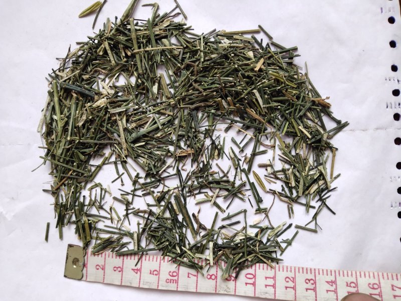 中药材穿心莲批发零售品种齐全