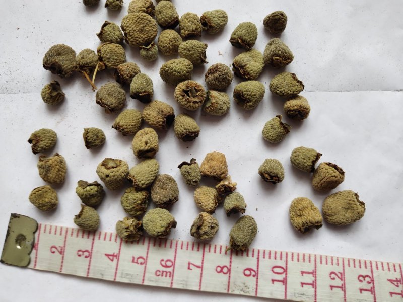 覆盆子1000克批发零售支持混批量大中药材批发