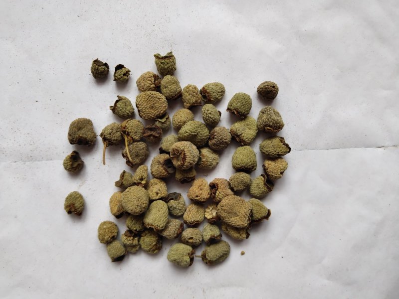 覆盆子1000克批发零售支持混批量大中药材批发