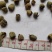 覆盆子1000克批发零售支持混批量大中药材批发