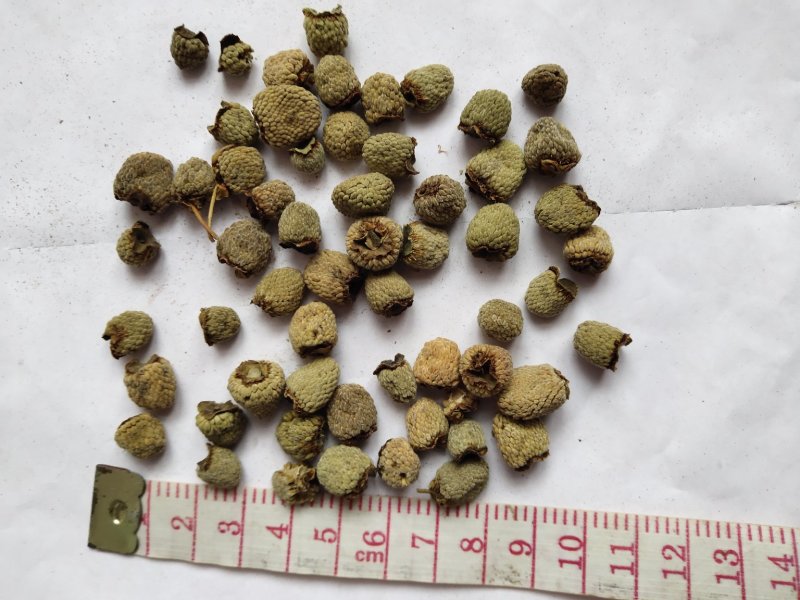 覆盆子1000克批发零售支持混批量大中药材批发