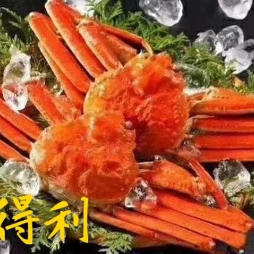 大板蟹