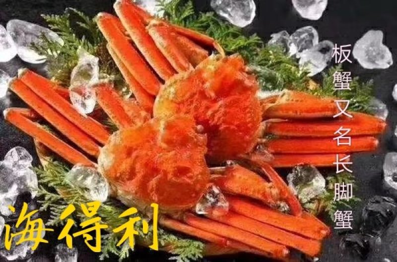 大板蟹