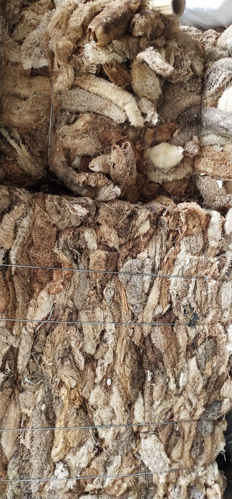 丝瓜络各种规格，新货，一手货源
