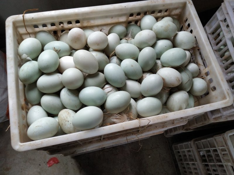 黄泥纯手工腌制咸鸭蛋