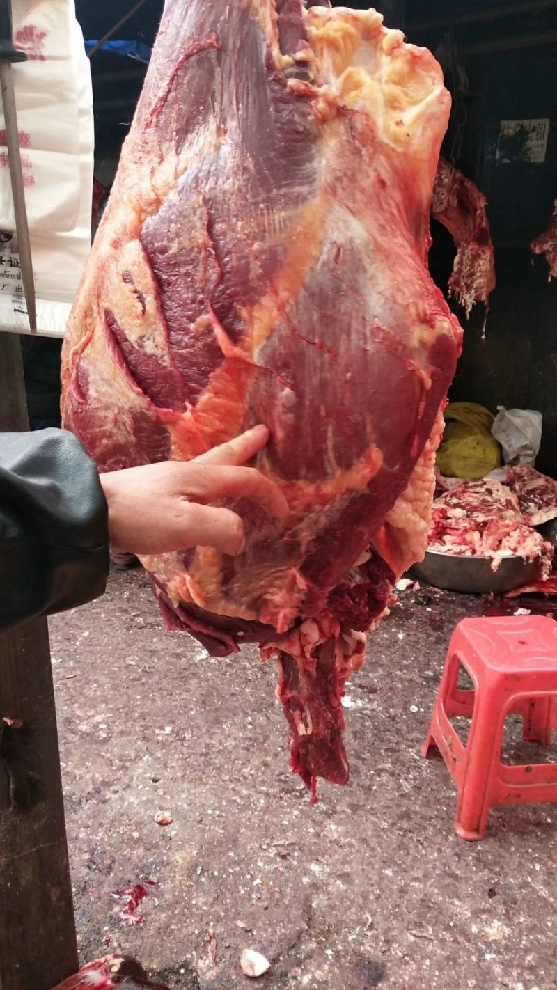 牦牛肉。
