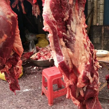 牦牛肉。