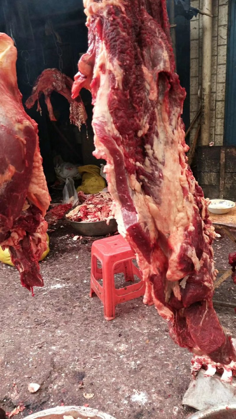 牦牛肉。