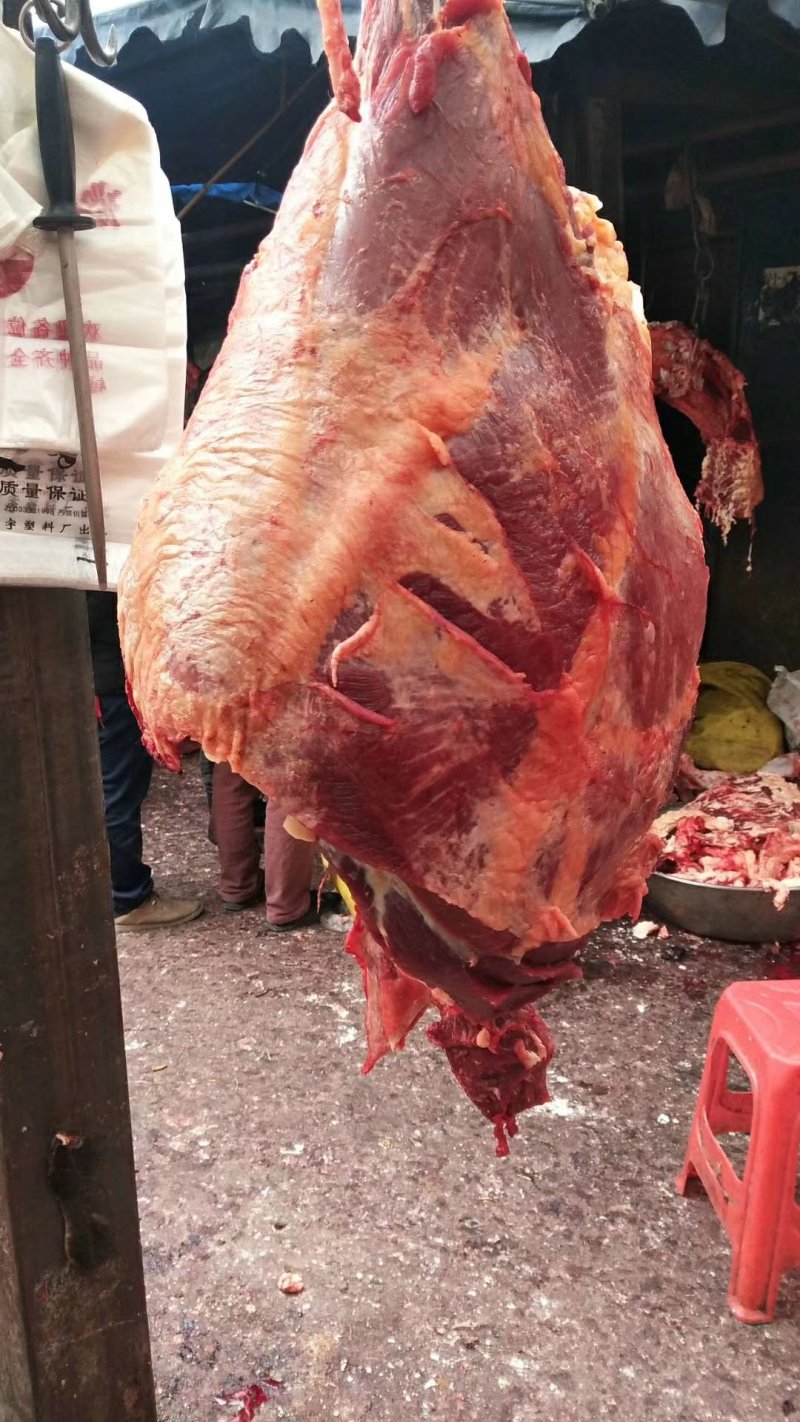 牦牛肉。
