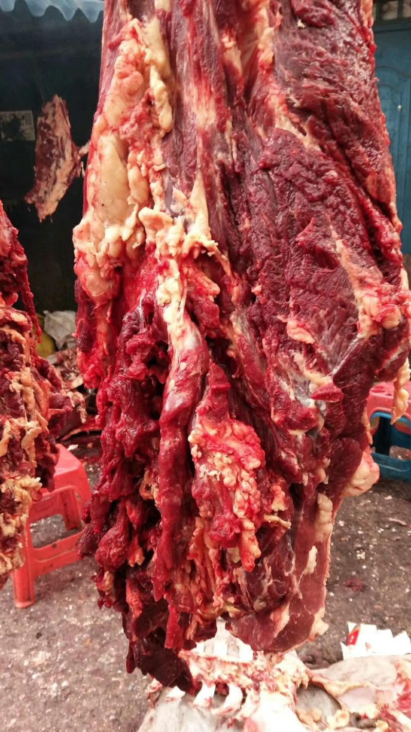 牦牛肉。