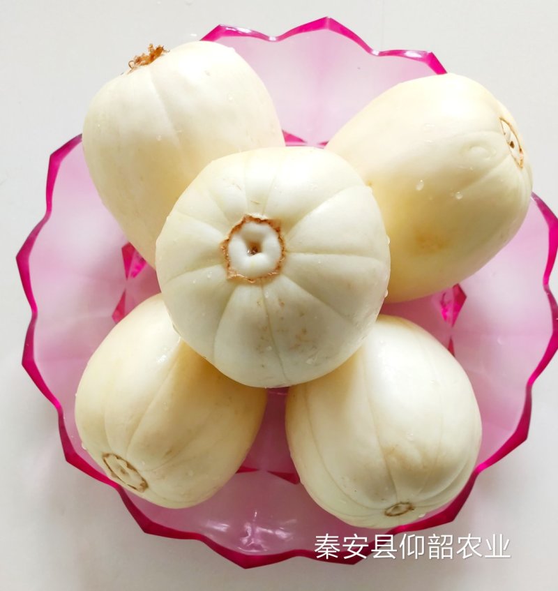 秦安县白脆瓜开始上市，一件5斤左右，125元包邮