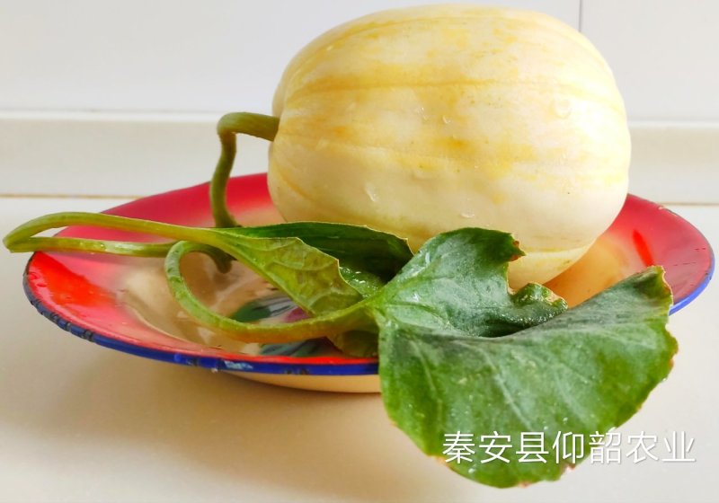 秦安县白脆瓜开始上市，一件5斤左右，125元包邮