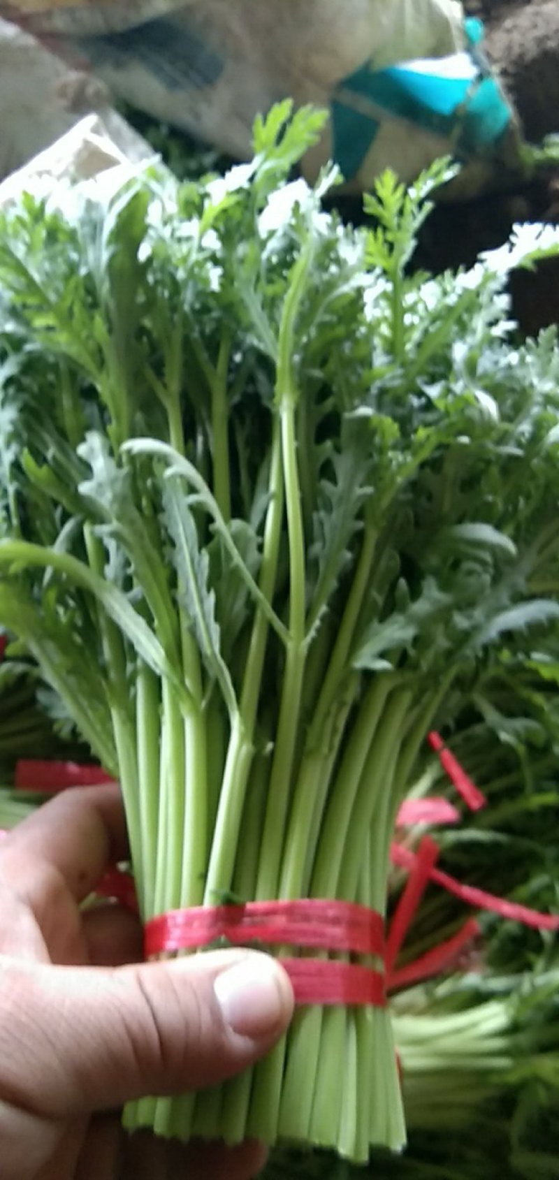 茼蒿需要的包装都有