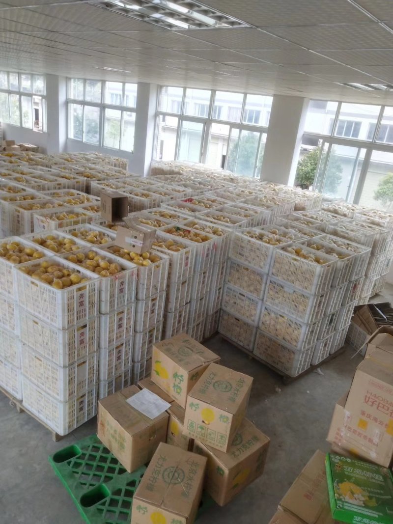 柠檬，血橙