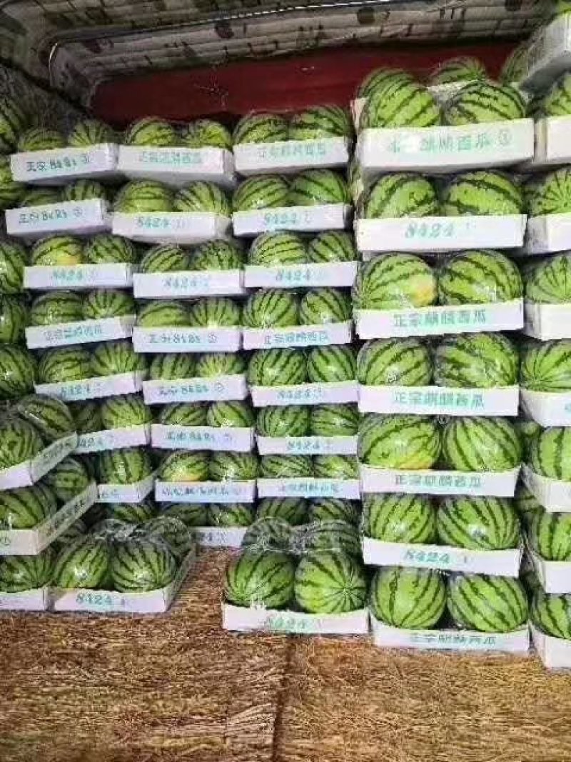西瓜**日期量大从优电商供货