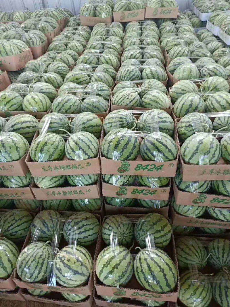 西瓜**日期量大从优电商供货