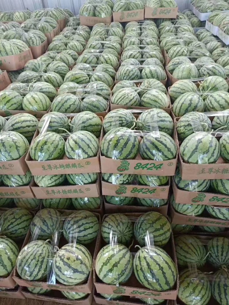 西瓜**日期量大从优电商供货