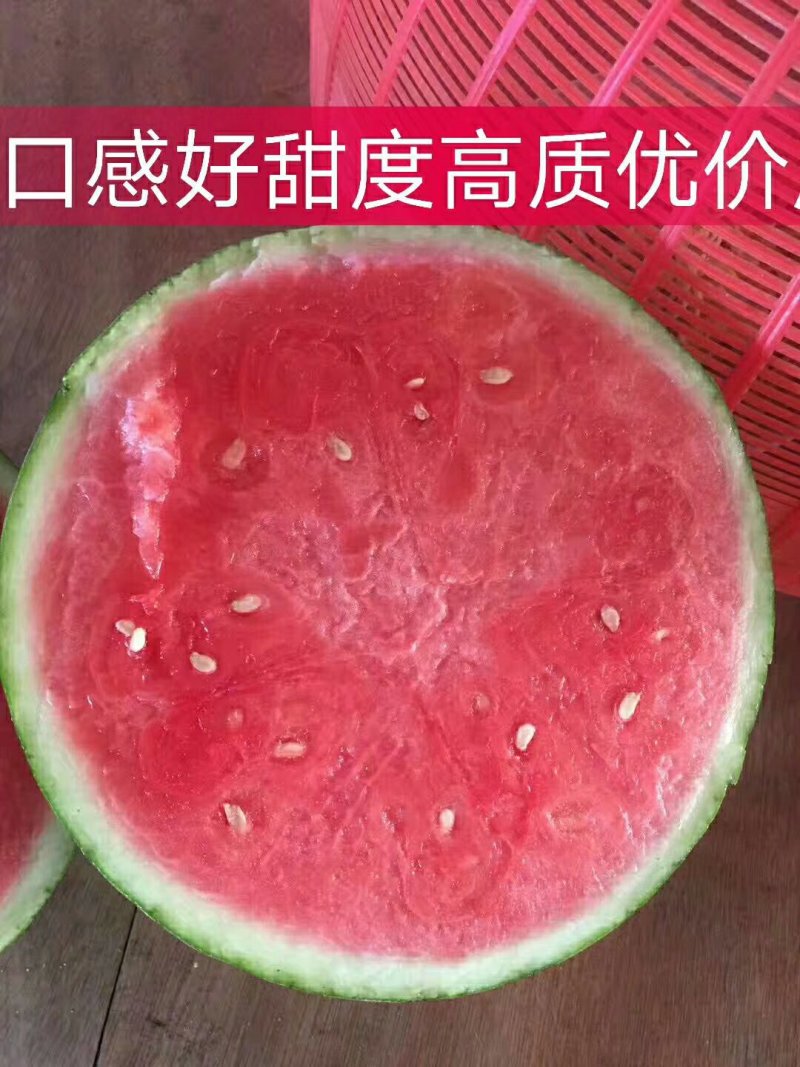 西瓜**日期量大从优电商供货