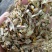 铁皮石斛片鲜干片胶质好无渣一斤起包邮免费打粉