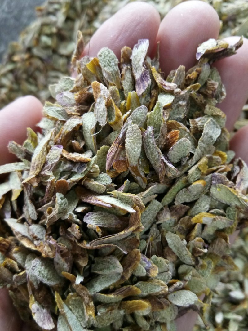 铁皮石斛片鲜干片胶质好无渣一斤起包邮免费打粉