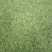 石阡苔茶高山绿茶口感醇厚