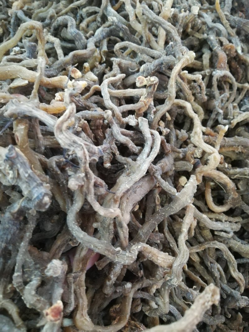 野生无硫小玉竹条野生玉竹
