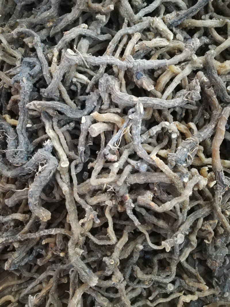野生无硫小玉竹条野生玉竹