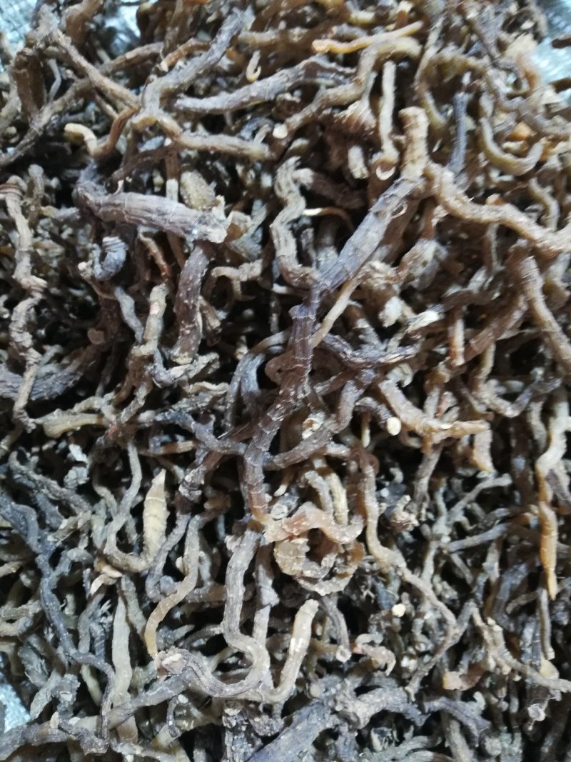 野生无硫小玉竹条野生玉竹